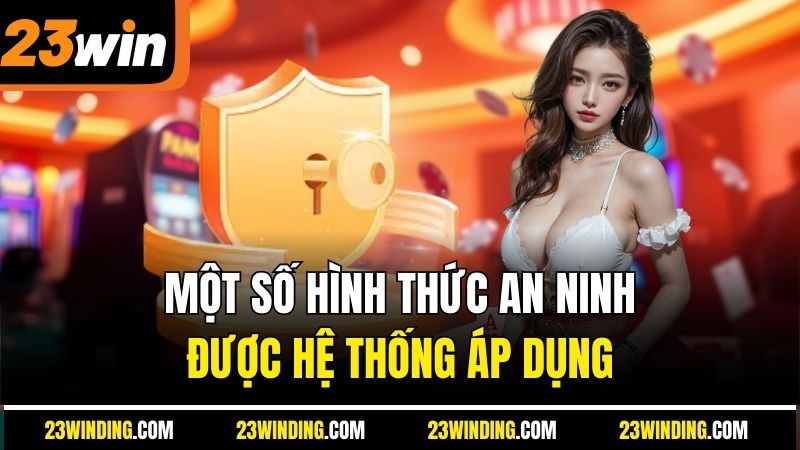 Một số hình thức an ninh được hệ thống áp dụng